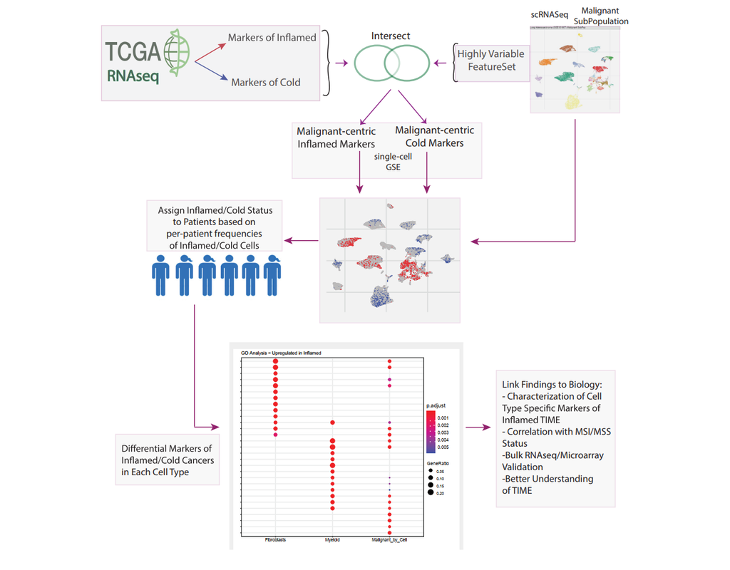 iBRIDGE: A Data Integration Method to Identify Inflamed Tumors from Single-Cell RNAseq Data and Differentiate Cell Type-Specific Markers of Immune-Cell Infiltration